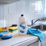 Środki czystości i Domestos