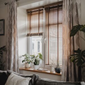 rośliny doniczkowe na parapecie